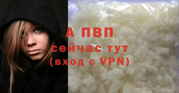 a pvp Бородино