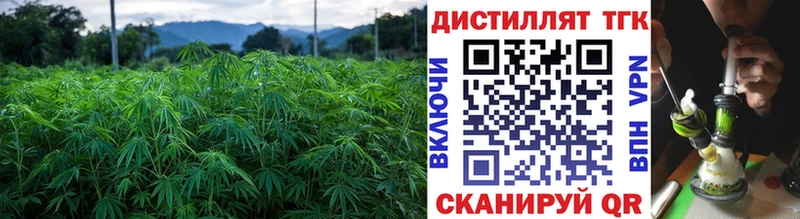 ТГК концентрат Лабинск