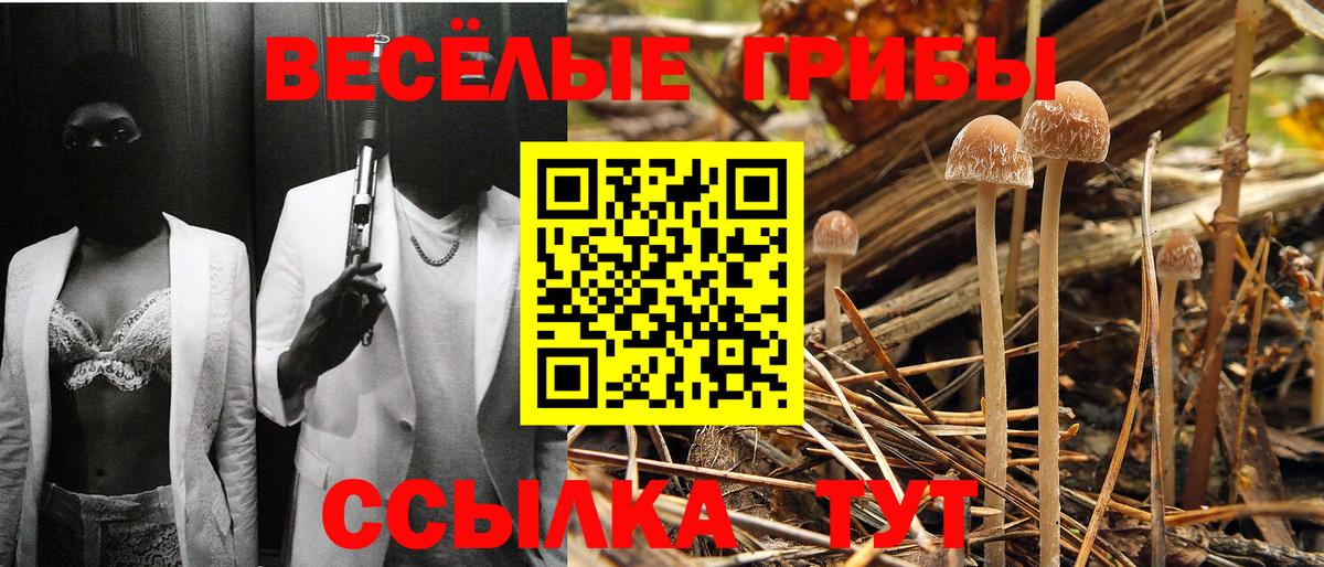 Галлюциногенные грибы MAGIC MUSHROOMS Лабинск