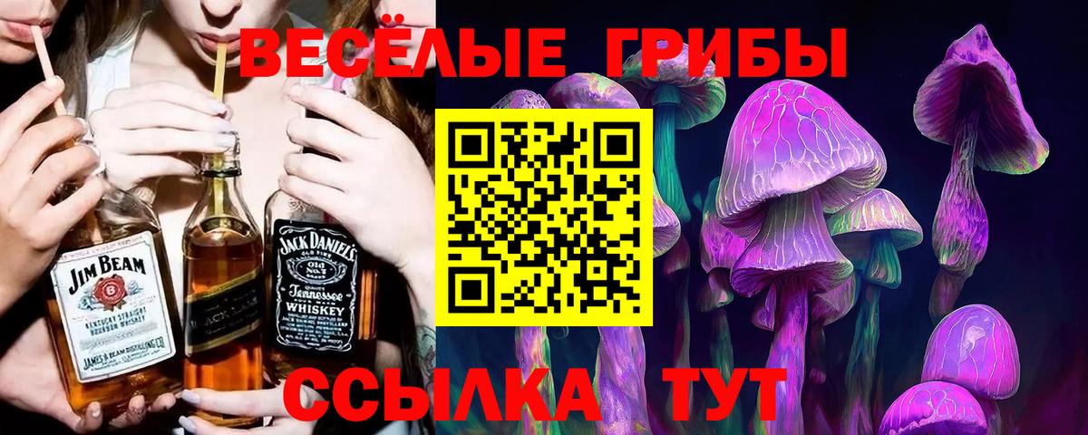 наркошоп  Вход с VPN  Лабинск  Галлюциногенные грибы ЛСД 